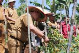 Lampung Barat lakukan panen raya dan beri petani benih cabai