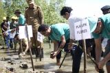 PLN menjaga alam lewat penanaman 1.000 mangrove di Ende