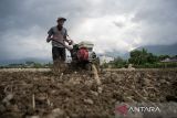 Realisasi penyaluran KUR pertanian di Sulteng