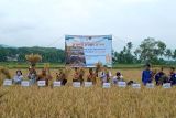 Sekolah lapang iklim operasional mampu tingkatkan kuantitas pertanian di Solok