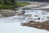 Warga mencuci pakaian di aliran Sungai Cipamingkis yang mengering di Bendung Cipamingkis, Kabupaten Bogor, Jawa Barat, Rabu (2/8/2023). Sungai Cipamingkis sejak sebulan terakhir airnya terus menyusut hingga sebagian dasarnya mengering akibat musim kemarau. ANTARA FOTO/Yulius Satria Wijaya/aww.