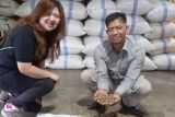 Penyuplai di Ulubelu Lampung pasok biji kopi 1.000 ton