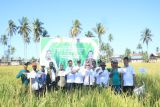 Dinas Pertanian Polewali Mandar mendorong petani gunakan pupuk organik