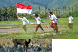 Gerakan 10 juta Bendera Merah Putih di Bone Bolango