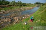 Warga berjalan di bantaran Sungai Cikeruh yang mengering di Tegalluar, Kabupaten Bandung, Jawa Barat, Jumat (4/8/2023). Badan Meteorologi, Klimatologi, dan Geofisika (BMKG) Stasiun Klimatologi Jawa Barat mengeluarkan peringatan dini kekeringan meteorologis pada dasarian pertama 1-10 Agustus 2023 imbas dari adanya beberapa kabupaten yang telah berstatus siaga kekeringan di Jawa Barat. ANTARA FOTO/Raisan Al Farisi/agr