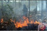BPBD Ponorogo imbau warga tingkatkan kewaspadaan karhutla
