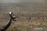 Petani merapihkan selang air yang tidak terpakai akibat waduk mengering di Juntinyuat, Indramayu, Jawa Barat, Selasa (7/8/2023). Pemerintah menyiapkan anggaran lebih dari Rp8 triliun untuk mengantisipasi kekurangan pangan dampak kekeringan akibat pengaruh El Nino yang diprediksi terjadi pada Agustus-September 2023. ANTARA FOTO/Dedhez Anggara/agr
