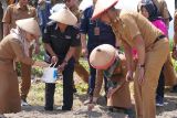 Pemkot Palu minta petani tetap tanam bawang merah varietas unggul