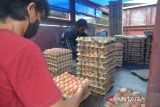 Warga membersiapkan telur ayam untuk pembeli saat berlangsung Pasar Tani di Banda Aceh, Aceh, Rabu (9/8/2023). Pasar Tani secara rutin setiap bulan yang digelar pemerintah Aceh bekerjasama dengan Pertamina, Perum Bulog dan Bank Indonesia di daerah itu, untuk membantu pemenuhan kebutuhan bahan pangan masyarakat dengan harga murah, termasuk gas elpiji  bersubsidi sebagai upaya pengendalian inflasi dan menekan kenaikan harga. ANTARA FOTO/Ampelsa.