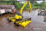 Legislator minta normalisasi sungai cegah banjir di Sampit