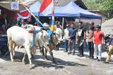 Wabup Sleman: Festival gerobak sapi mendukung destinasi lereng Merapi