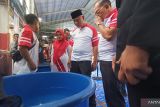 Gubernur Sumbar: Kontes ikan koi bisa jadi inspirasi bisnis bagi UMKM