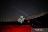 Seorang pria menggunakan sinar laser ke arah langit selama hujan meteor Perseid di Taman Nasional Shebenik, di Fushe Stude, Albania, Minggu (13/8/2023). Puncaknya fenomena alam ini terjadi pada tanggal 12-13 Agustus 2023, dan yang menarik adalah pertunjukan hujan meteor Perseid menjadi yang paling cantik dari tahun-tahun sebelumnya. ANTARA FOTO/REUTERS/Florion Goga/Spt.