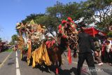 Peserta menampilkan tradisi pengantin suku osing pada acara karnaval kebangsaan di Banyuwangi, Jawa Timur, Minggu (13/8/2023). Karnaval yang menampilkan berbagai atraksi drama kolosal dan adat dari berbagai daerah itu dalam rangka memeriahkan HUT ke-78 Kemerdekaan RI. ANTARA Jatim/Budi Candra Setya/zk