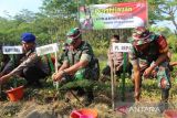 Pemkab  Batang-Kodim selenggarakan reboisasi dan pembagian sembako