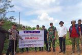 Forkopimda Pasaman Barat Sosialisasi larangan membuka lahan baru di kawasan PSN Pigogah Air Bangis  (Video)