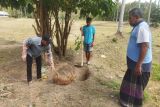 Waspada gigitan anjing di Dompu: Ny Harjah pun jadi korban