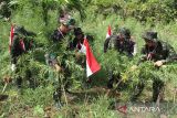 Deputi Pemberantasan Narkotika Irjen Pol  I Wayan Sugiri, (ketiga kanan) bersama personel lainnya membakar batang ganja dalam operasi pemusnahan ladang ganja di Desa Teupin Rusep, Sawang, Kabupaten Aceh Utara, Aceh, Rabu (16/8/2023). Operasi gabungan BNN RI,TNI-Polri dan Bea Cukai dalam rangka menyambut HUT ke-78 kemerdekan RI tersebut ditemukan seluas 4,5 hektare ladang ganja, tersebar di 11 titik lokasi dengan tanaman ganja lebih dari 21 ribu batang atau sekitar 20 ton yang kemudian dimusnahkan dengan cara dibakar. ANTARA/Rahmad