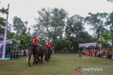 Gajah Sumatra (Elephas maximus sumatranus) bersiap untuk mengerek tali Bendera Merah Putih menggunakan belalainya saat menjadi petugas upacara HUT ke-78 Kemerdekaan RI di lapangan BBKSDA Riau, di Pekanbaru, Riau, Kamis (17/8/2023). Balai Besar Konservasi Sumber Daya Alam (BBKSDA) Riau melibatkan tiga ekor gajah sumatra terlatih untuk menjadi petugas upacara HUT RI. ANTARA FOTO/Rony Muharrman/aww.