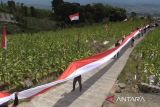 Petani Temanggung bentangkan kain merah putih satu kilometer peringati HUT RI