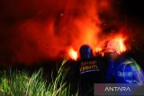 Pasukan Badan Penanggulangan Bencana Daerah (BPBD) Kabupaten Tapin, Kalimantan Selatan berupaya memadamkan api yang nyaris membakar lahan Sentral Cabai Rawit Hiyung di Desa Hiyung, Jumat (18/8/2023) malam. Petugas BPBD Tapin beserta 13 anggota barisan pemadam kebakaran (BPK) menyelamatkan puluhan hektare lahan Cabai Rawit Hiyung yang siap panen dan pemukiman warga. ANTARA/Muhammad Fauzi Fadilah 
