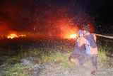 Pasukan Badan Penanggulangan Bencana Daerah (BPBD) Kabupaten Tapin, Kalimantan Selatan berupaya memadamkan api yang nyaris membakar lahan Sentral Cabai Rawit Hiyung di Desa Hiyung, Jumat (18/8/2023) malam. Petugas BPBD Tapin beserta 13 anggota barisan pemadam kebakaran (BPK) menyelamatkan puluhan hektare lahan Cabai Rawit Hiyung yang siap panen dan pemukiman warga. ANTARA/Muhammad Fauzi Fadilah