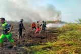 Kebakaran melanda 28 hektare lahan di Kapuas
