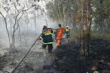 Dua kebakaran lahan di Bartim berhasil dipadamkan