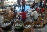 Nelayan menyortir beberapa jenis ikan seusai pendaratan di dermaga Pelabuhan Perikanan Samudera (PPS), Lampulo, Banda Aceh, Aceh, Rabu (23/8/2023).  Balai Karantina Ikan, Pengendalian Mutu dan Keamanan Hasil Perikanan (BKIPM) Aceh mencatat, neraca perdagangan  komoditas perikanan Aceh hingga Agustus 2023 berhasil menembus tujuh negara konsumen, Jepang, Malaysia, Amerika, China, Singapura, Uni Emirat Arab dan Thailand dengan volume ekspor mencapai 199 ton  dan diprediksi volume ekspor perikanan  tahun 2023 tersebut  akan meningkat dibanding dengan realisasi ekspor perikanan tahun 2022 sebanyak  281 ton. ANTARA FOTO/Ampelsa.