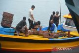 Nelayan membongkar muatan ikan saat pendaratan di dermaga Pelabuhan Perikanan Samudera (PPS), Lampulo, Banda Aceh, Aceh, Rabu (23/8/2023).  Balai Karantina Ikan, Pengendalian Mutu dan Keamanan Hasil Perikanan (BKIPM) Aceh mencatat, neraca perdagangan  komoditas perikanan Aceh hingga Agustus 2023 berhasil menembus tujuh negara konsumen, Jepang, Malaysia, Amerika, China, Singapura, Uni Emirat Arab dan Thailand dengan volume ekspor mencapai 199 ton  dan diprediksi volume ekspor perikanan  tahun 2023 tersebut  akan meningkat dibanding dengan realisasi ekspor perikanan tahun 2022 sebanyak  281 ton. ANTARA FOTO/Ampelsa.