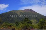 Kondisi Gunung Gamalama yang hampir mengerucut dilihat dari Kelurahan Tarau, Kota Ternate, Maluku Utara, Senin (21/8/2023). Gunung Gamalama yang memiliki ketinggian 1.715 meter di atas permukaan laut itu merupakan gunung berapi aktif di Ternate yang masih berstatus waspada (level II) dan terakhir erupsi pada tanggal 4 Oktober 2018 lalu. ANTARA FOTO/Andri Saputra/foc
