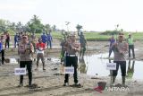 Personel kepolisian membawa bibit pohon mangrove saat penanaman serentak di pesisir pantai Desa Pusong Lhokseumawe, Aceh, Kamis (23/8/2023). Penanaman pohon serentak Polri dalam rangka HUT Ke-78 RI melalui program ÃPolri Lestarikan Negeri Penghijauan Sejak DiniÃ tersebut dilakukan bersamaan dengan penanaman Pohon Delegasi ASEAN Ministerial Meeting on Transnational Crime (AMMTC) ke-17 di Labuan Bajo, Manggarai Barat, Nusa Tenggara Timur. ANTARA/Rahmad