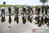 Personel kepolisian membawa bibit pohon mangrove saat penanaman serentak di pesisir pantai Desa Pusong Lhokseumawe, Aceh, Kamis (23/8/2023). Penanaman pohon serentak Polri dalam rangka HUT Ke-78 RI melalui program ÃPolri Lestarikan Negeri Penghijauan Sejak DiniÃ tersebut dilakukan bersamaan dengan penanaman Pohon Delegasi ASEAN Ministerial Meeting on Transnational Crime (AMMTC) ke-17 di Labuan Bajo, Manggarai Barat, Nusa Tenggara Timur. ANTARA/Rahmad