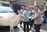 Nekat melawan saat ditangkap, pencuri sapi di Lamtim diberikan tindakan tegas oleh polisi