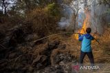 Relawan yang tergabung dalam Masyarakat Peduli Api (MPA) Pasawahan berusaha memadamkan api yang membakar kawasan hutan di lereng gunung Ciremai, Kuningan, Jawa Barat, Minggu (27/8/2023). Kebakaran hutan yang terjadi sejak Jumat (25/8) itu menghanguskan sedikitnya 125 hektar lahan di kawasan hutan gunung Ciremai. ANTARA FOTO/Dedhez Anggara/agr