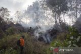 Relawan yang tergabung dalam Masyarakat Peduli Api (MPA) Pasawahan berusaha memadamkan api yang membakar kawasan hutan di lereng gunung Ciremai, Kuningan, Jawa Barat, Minggu (27/8/2023). Kebakaran hutan yang terjadi sejak Jumat (25/8) itu menghanguskan sedikitnya 125 hektar lahan di kawasan hutan gunung Ciremai. ANTARA FOTO/Dedhez Anggara/agr