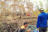 BMKG: Waspadai potensi karhutla di Kalimantan Tengah