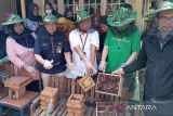 PNM siapkan Desa Langgongsari Banyumas sebagai sentra  madu klanceng