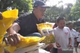 Stok beras di Kabupaten Kudus dipastikan cukup