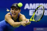 Absen tiga tahun, Wozniacki dapat 