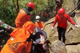 Pendaki gunung diimbau waspada kebakaran hutan selama kemarau