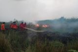 Satgas Karhutla Kapuas padamkan kebakaran di Desa Bentuk Jaya