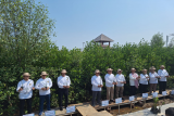 Kolaborasi dengan pemerintah, Bukit Asam ikut aksi tanam mangrove
