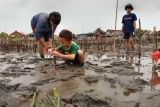 Forum Komunitas Hijau dan Sintalaras UNM lestarikan mangrove