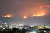 Api membakar hutan dan lahan (karhutla) kawasan Gunung Arjuno terlihat di kawasan Prigen, Pasuruan, Jawa Timur, Selasa (5/9/2023) malam. Menurut data Badan Penanggulangan Bencana Daerah (BPBD) Jawa Timur kebakaran hutan dan lahan di kawasan Gunung Arjuno meluas di 156 titik dengan luas lahan yang terbakar sekitar 3.910 hektare. Antara Jatim/Umarul Faruq/zk.