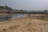 Penyusutan air Sungai Ciujung akibat kemarau. Kondisi air Sungai Ciujung yang menyusut di Pamarayan, Kabupaten Serang, Banten, Selasa (5/9/2023). Petugas pemantau Sungai Ciberang-Ciujung menyebut sejak sebulan terakhir air Sungai Ciujung mengalami penyusutan akibat dampak kemarau dari semula setinggi 51 sentimeter menjadi 0,40 sentimeter. ANTARA/Muhammad Bagus KhoirunasANTARA FOTO/Muhammad Bagus Khoirunas (ANTARA FOTO/Muhammad Bagus Khoirunas)