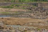 Penyusutan air Sungai Ciujung akibat kemarau. Warga mencari ikan di Sungai Ciujung yang menyusut di Pamarayan, Kabupaten Serang, Banten, Selasa (5/9/2023). Petugas pemantau Sungai Ciberang-Ciujung menyebut sejak sebulan terakhir air Sungai Ciujung mengalami penyusutan akibat dampak kemarau dari semula setinggi 51 sentimeter menjadi 0,40 sentimeter. ANTARA/Muhammad Bagus KhoirunasANTARA FOTO/Muhammad Bagus Khoirunas (ANTARA FOTO/Muhammad Bagus Khoirunas)