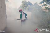 Petugas dari Puskesmas Selindung, Kota Pangkalpinang Provinsi Kepulauan Bangka Belitung saat melakukan fogging atau pengasapan di RT 005 RW 002 Kelurahan Gabek Dua guna mencegah  penyakit Demam Berdarah Dengue (DBD) yang disebabkan oleh gigitan nyamuk 