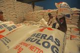 Bapanas: Impor beras terukur tak jatuhkan harga di petani