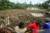 Warga menerobos banjir dengan perahu di Desa Tanjong Tgk Ali, Matang Kuli, Aceh Utara, Aceh, Rabu (6/9/2023). Berdasarkan data Badan Penanggulangan Bencana Aceh (BPBA), Bencana banjir akibat luapan sungai Krueng Pase, Krueng Pirak, Krueng Keuruto, dan Krueng Peto menyebabkan 8 kecamatan di kabupaten itu terendam banjir, mengakibatkan sebanyak 3.594 Kepala Keluarga (KK) atau 10.923 jiwa terdampak banjir dan 817 KK 2.798 jiwa di laporkan mengungsi. ANTARA/Rahmad